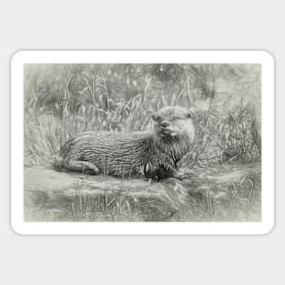 Asian small-clawed otter Sticker